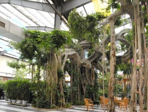 北镇市春天生态园老年休养中心环境图片