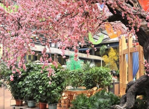 北镇市春天生态园老年休养中心环境图片