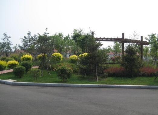 东港市荣泰老年公寓_丹东价格便宜养老院,丹东好的养老院