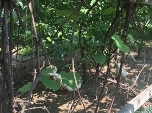 吉林一家人老年公寓_吉林市老年公寓,吉林市老年公寓哪家便宜