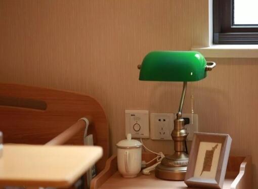 南京朗诗常青藤·五马渡站_南京交通方便养老院收费标准,南京养老院价格和介绍