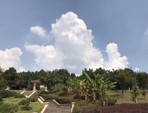 南京钟山颐养园环境图片