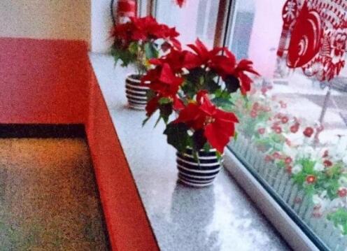 延边夕阳红老年福利院_延边5000元左右老年公寓,延吉老年公寓入住标准