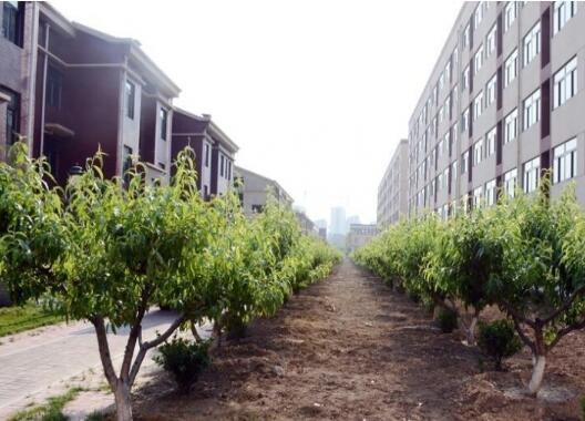 亳州失能老人老年公寓一般多少钱费用