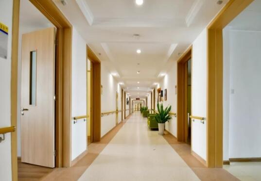 芜湖市弋江区蕾娜范海螺颐养院_芜湖顶级养老院介绍几家,芜湖养老院排名