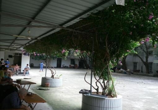 茂名市福林养老院_茂名养老院大全,茂名养老院一个月多少钱