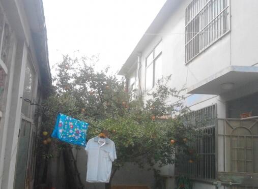 德州祥瑞老年颐养院_德州交通方便养老院电话,德州养老院位置在哪里