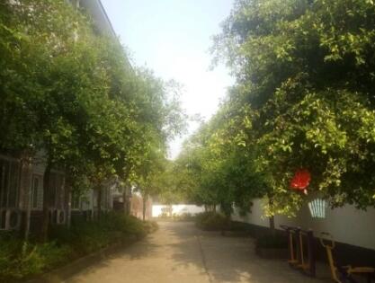 泸州龙马潭区石洞镇永寿养老院_泸州全护理养老院名单,四川泸州养老院最好是哪家