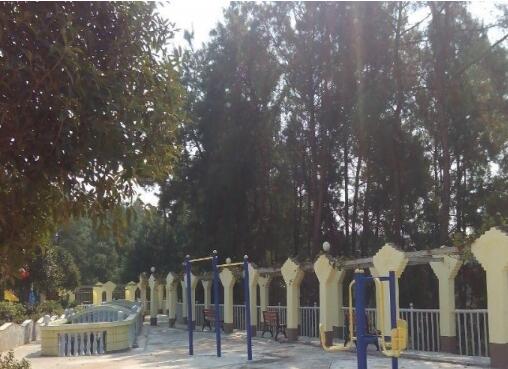 南充松鹤养老院_南充风景优美养老社区地址在哪,南充风景画