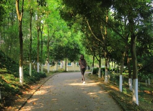 南充夕阳树老年公寓_南充残疾人养老院价格一览表