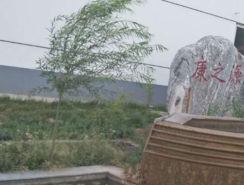 沧州康之源老年公寓_沧州有名的养老院列举几家,沧州市区养老院有几家