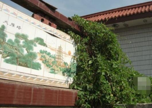 兰州康乐老年公寓_兰州性价比高的养老院查询,兰州哪家养老院评价好