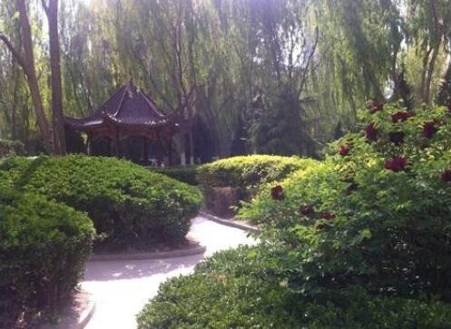 兰州较便宜的养老院有哪些？