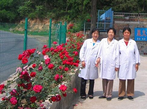 大连西岗星火花园养老院_大连残疾人养老院名单一览,大连市残疾人