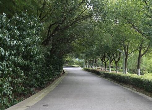 南京银城松椿颐养园环境图片