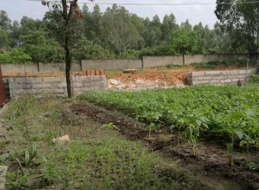 南安市幸福时光养老院_泉州3000元左右养老院,泉州养老院价格