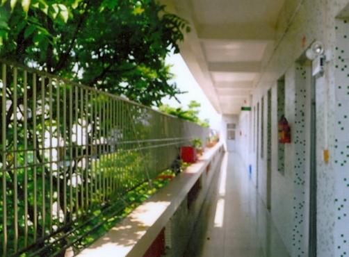 梅州市爱馨老年公寓_梅州养老院多少钱,梅州养老院收费标准