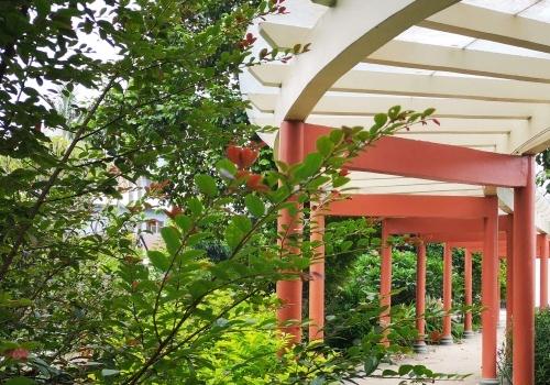 佛山天福养老社区环境图片