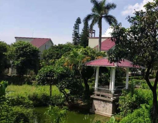 江门市银湖养老院_江门有名的养老院,江门养老机构