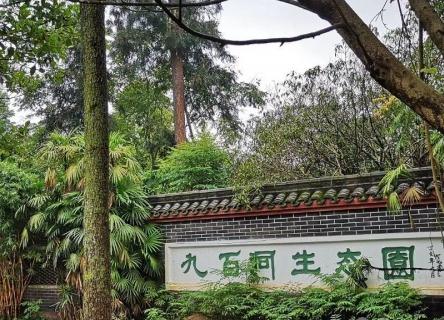 乐山市九百洞生态养老院环境图片