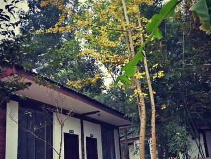 乐山市九百洞生态养老院环境图片