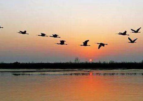 民政局：文养结合——幸福养老新模式！