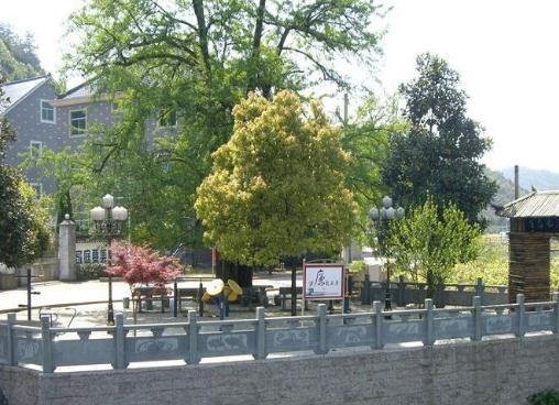 富阳市新登温馨养老院_杭州失能老人养老院一般多少钱费用