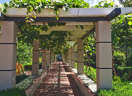 固安县心悦康健园环境图片