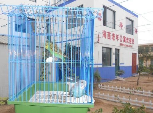 青岛市黄岛区海西老年公寓价格收费、地址、简介等查询！