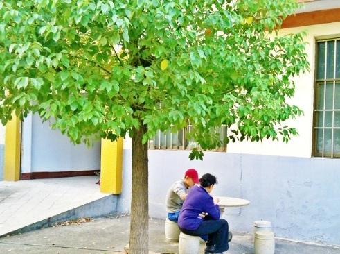 枣庄君福老年公寓环境图片