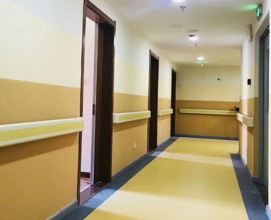 西安碑林区边家村附近养老院有哪些？