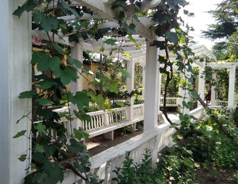 郑州颐百岁老年公寓环境图片