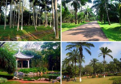 海口绿康元中医康养基地_海口附近老年公寓,海南海口高端老年公寓