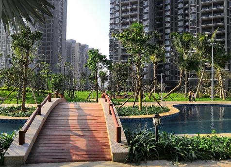 澄迈老城南海之滨环境图片