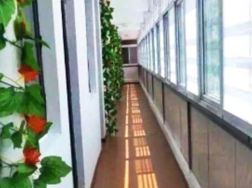 天津市河西区津福之家老年公寓环境图片