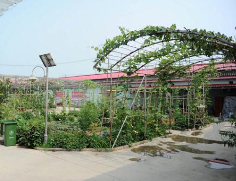 北京市怀柔区桥梓镇敬老院环境图片