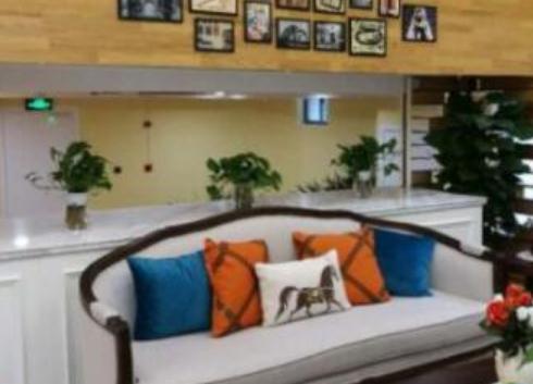 上海徐汇区悦颐养老院环境图片