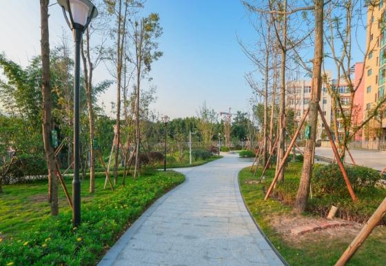 重庆可以为压疮/褥疮老人提供护理的养老机构有吗,地址在哪?