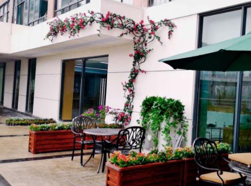 重庆渝中区一般养老院怎么样,渝中区养老服务中心