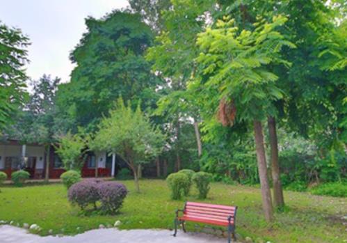 成都晚霞社会养老服务中心_成都3000-5000养老院大全,成都养老院养老院