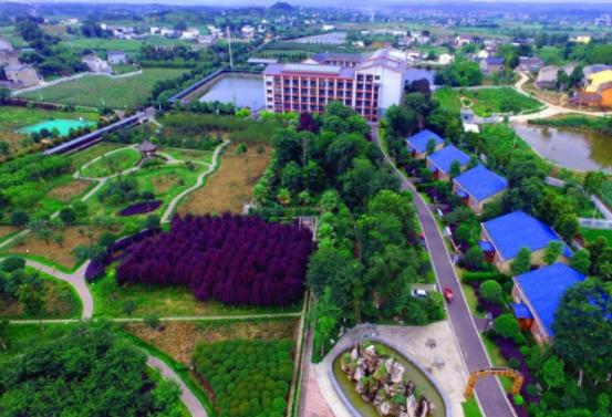 绵阳市游仙区万鸿颐养院_绵阳8000元养老院,绵阳养老院多少钱一个月