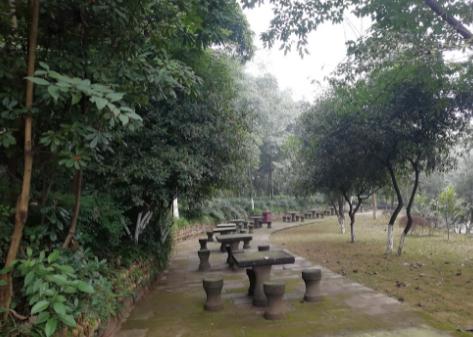 南充市万卷楼康养中心_南充高级的养老院,南充养老院收费标准