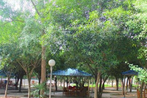 南充晚晴养老会所_南充老年护理院地址,南充敬老院养老