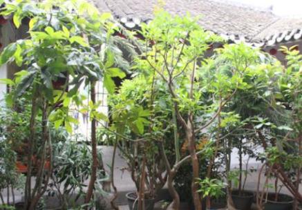 梅州市梅江区东街康寿乐园_梅州风景优美养老院,梅州医养结合养老院