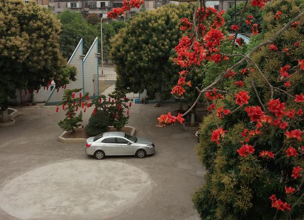 茂名市慈爱颐养院_茂名正规养老院列举几家,茂名养老院前十名