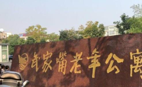 南京武家嘴老年公寓_南京养老院有几家