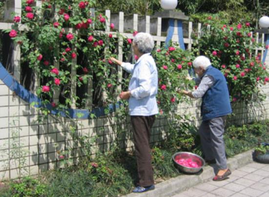 重庆桂湖老年公寓_重庆价格便宜养老院,重庆高端养老院价格