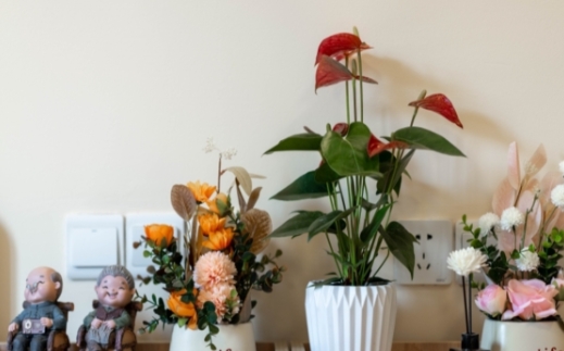 颐寿轩福寿养老院环境图片