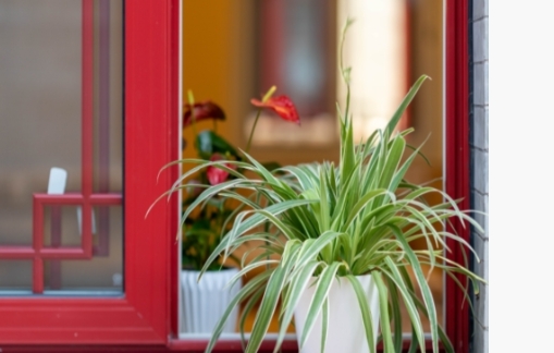 颐寿轩福寿养老院环境图片