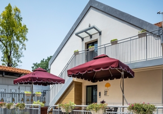 北京市东城区银杏舍养老服务中心_北京养老院名单一览,北京848个养老院一览表